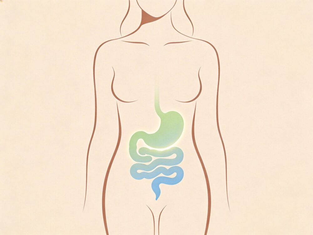 Probiotics for menopause