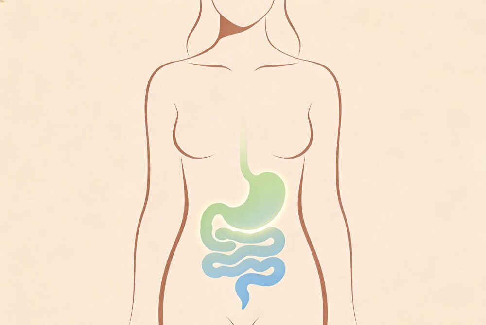 Probióticos para mulheres na menopausa